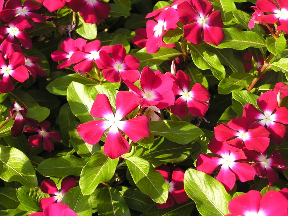 ����������: ������ ��� �������, ��� ������� �� �����!