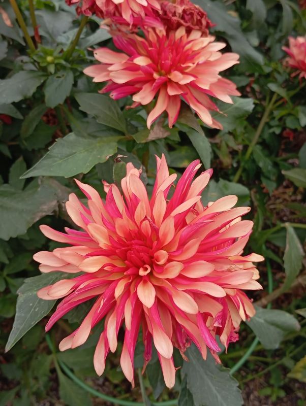 �������� ����������: �������� ���� � ������� �����