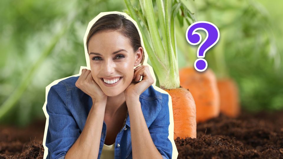 ��������� � ������� �� �����������: �������� ����� � ��� ��� ���