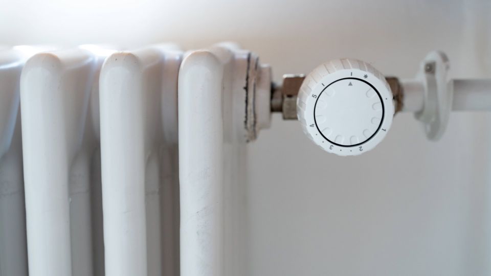 ���� ������ ��� ������� �������� ������ �������: ������ ������� ����������� ��������