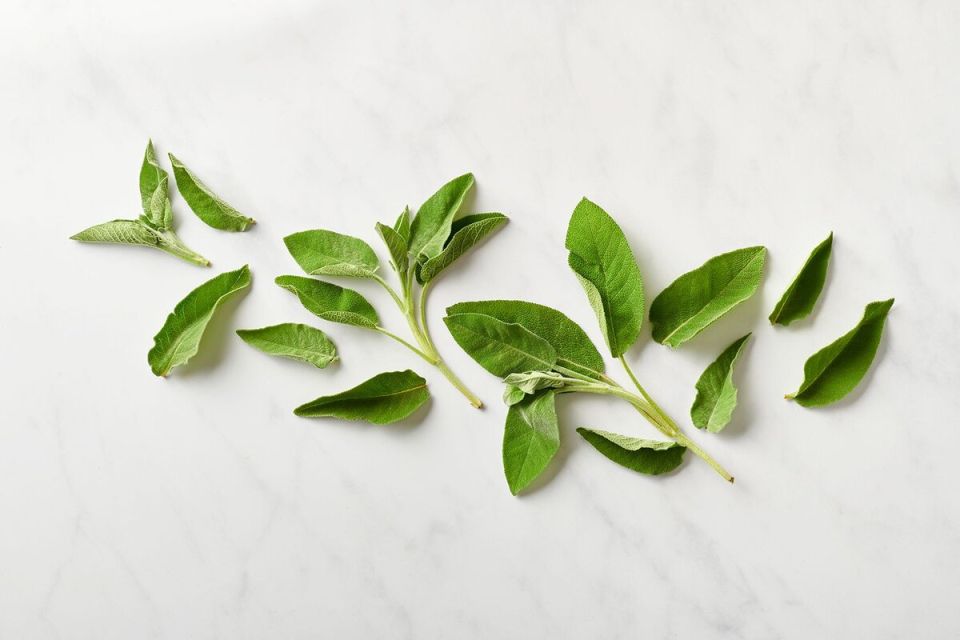 ������: ������ �������� � ���� � �� �����