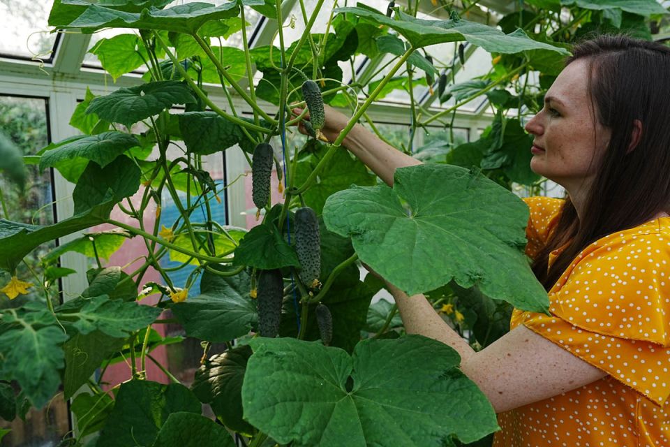 ��� ������� ����� ��� ������� � �������� ��������