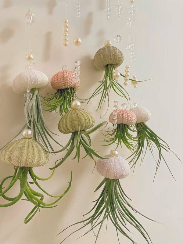 �������: ������������ ��������, ������� ����� � �������