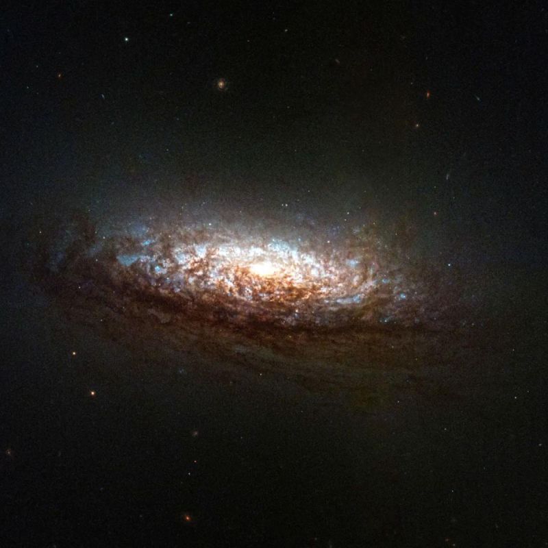 ����������� �����: ��� ������ ����������� � ���� ���������