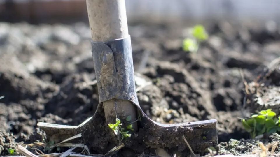 ������� ������ ����� ��������: ��� ���������� ������