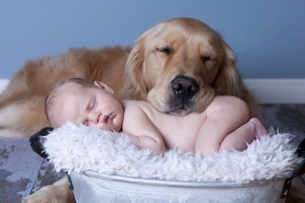 ������� ������? 7 ������� �����, ������� ������� ������ ����������� � ��������� �����������