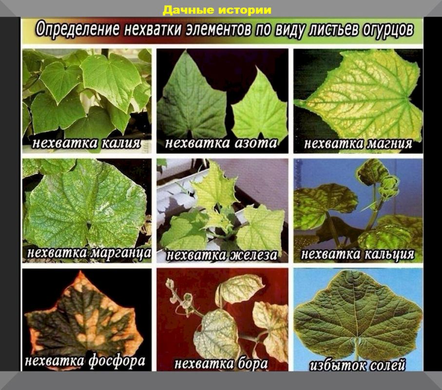 ����������� ��������� ��� ����: ��� ���������� � �� �������� ������