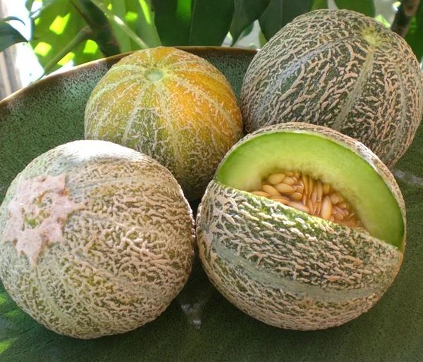 ��� ��������� �������� � ��������� �� ����� � �������� ������