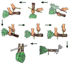 ��� ��������� ���������� ������ ��� ����: ������� � ������������