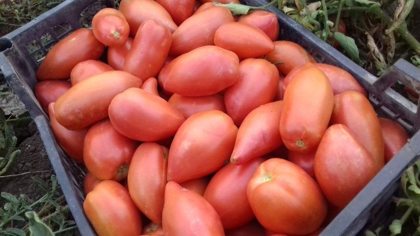 ����� ������: ��������� ����� ��� ������� ������ � ����� �������