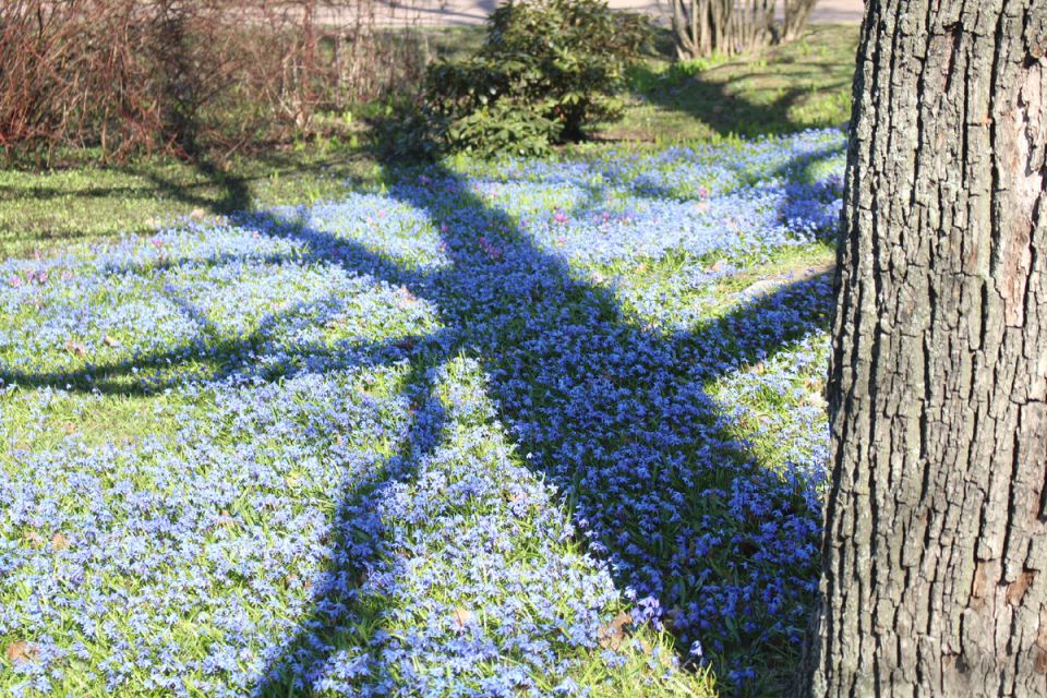 ����� � ������������ ����: ����������, ������� ������ ����������