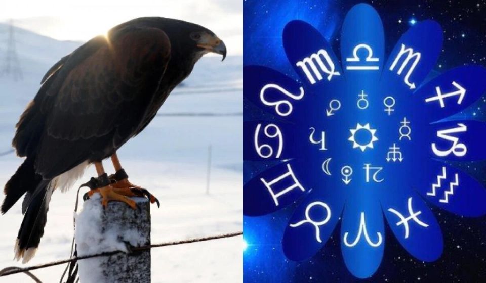 ����� �� ������ �������: ����� �������� ���� ��� ��������