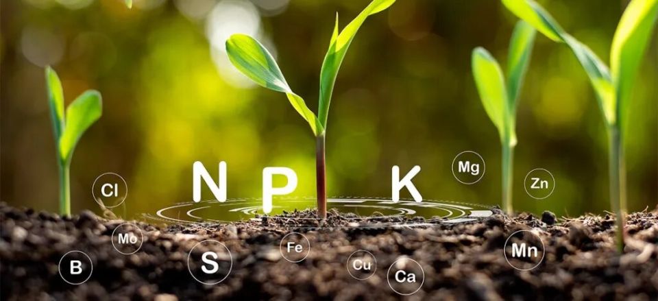 Пролонгированные удобрения: как просто обеспечить растениям здоровый рост