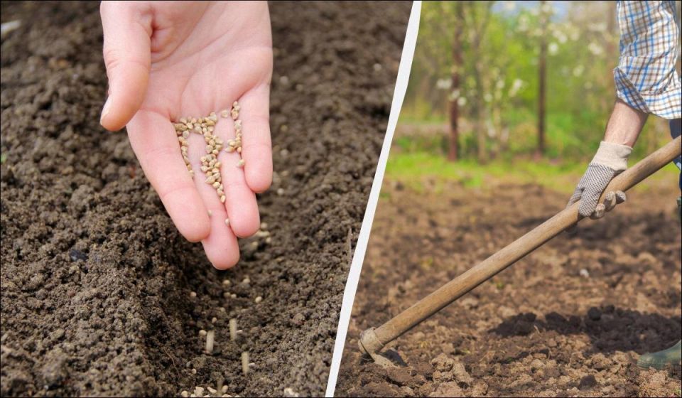 ��� �������� ��� ����: 10 ������ � ������ ��� ������� ������