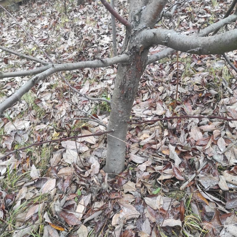 ������� �� ������: ��� ������� � ���� �������� ������� ��������